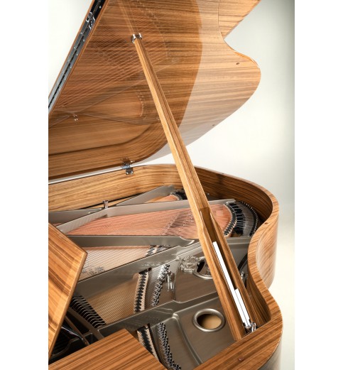 Schimmel Classic C169T Paldao